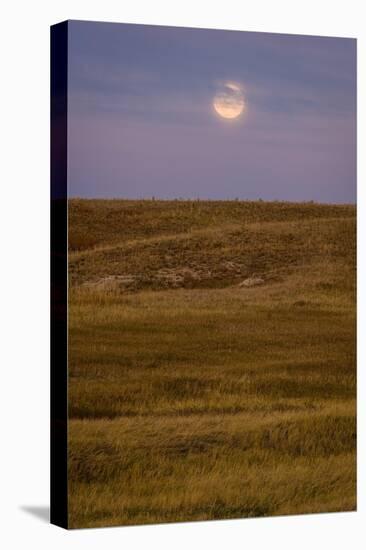 Moonrise Over Badlands South Dakota-Steve Gadomski-Premier Image Canvas