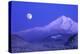 Moonrise over Mt. Hood, Oregon, USA-Janis Miglavs-Premier Image Canvas