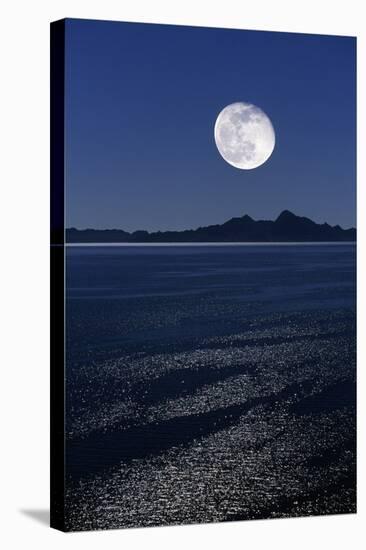 Moonrise Over Sea-David Nunuk-Premier Image Canvas