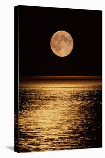 Moonrise-David Nunuk-Premier Image Canvas