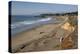 Moonstone Beach Park-Stuart-Premier Image Canvas