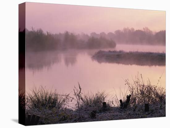 Moor Green Lakes Nature Reserve, Finchamstead, Berkshire, England, UK-Pearl Bucknall-Premier Image Canvas