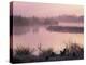 Moor Green Lakes Nature Reserve, Finchamstead, Berkshire, England, UK-Pearl Bucknall-Premier Image Canvas