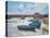 Moorings at Hampton Court, 2011-Christopher Glanville-Premier Image Canvas