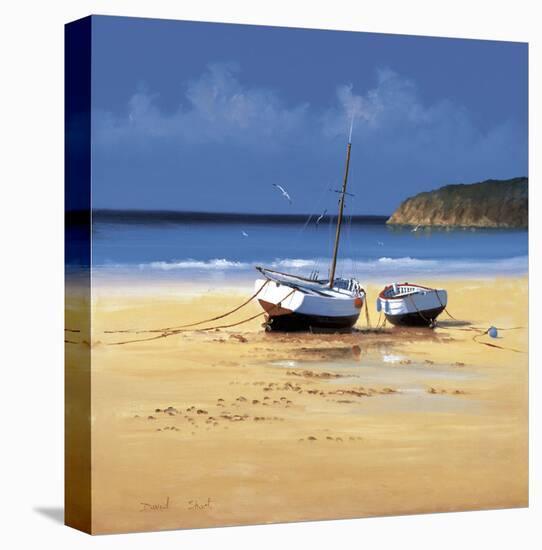 Moorings Low Tide-David Short-Stretched Canvas