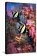 Moorish Idols-Georgette Douwma-Premier Image Canvas