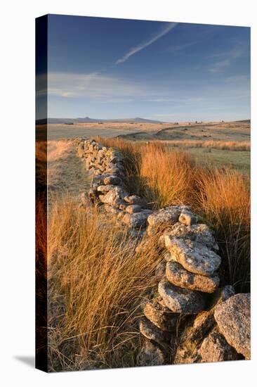 Moorland view with dry stone wall, Dartmoor, Devon, UK-Ross Hoddinott-Premier Image Canvas