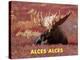 Moose (Alces Alces)-Dee Ann Pederson-Stretched Canvas