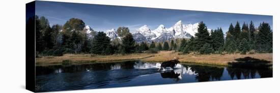 Moose and Beaver Pond Grand Teton National Park WY USA-null-Premier Image Canvas