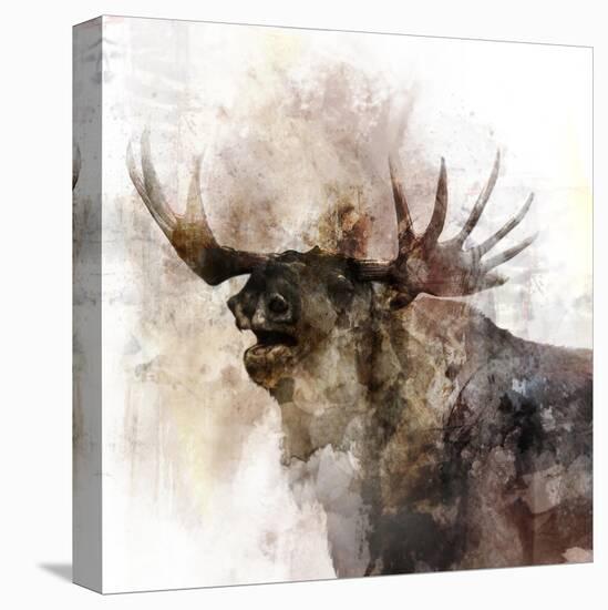 Moose Call-Ken Roko-Stretched Canvas