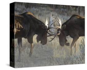Moose Challenge-Terry Isaac-Stretched Canvas
