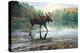 Moose Crossing-Russell Cobane-Stretched Canvas