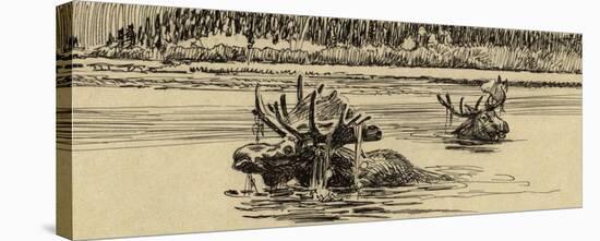 Moose in River (sepia)-Tom Beecham-Stretched Canvas