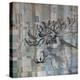 Moose, Just Moose-Zwart-Premier Image Canvas