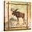 Moose Nature-Walter Robertson-Stretched Canvas