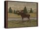 Moose-Robin Betterley-Premier Image Canvas