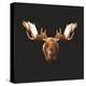 Moose-Lora Kroll-Stretched Canvas