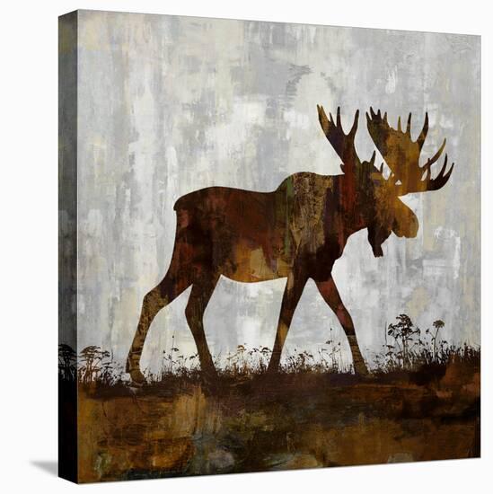 Moose-Carl Colburn-Stretched Canvas