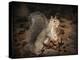 More Than You Can Chew Squirrel-Jai Johnson-Premier Image Canvas