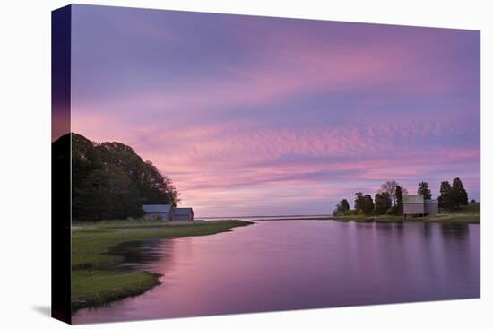 Morn at Salt Pond-Michael Blanchette-Premier Image Canvas