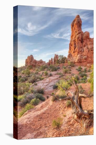 Morning Among Sandstone, Southern Utah-Vincent James-Premier Image Canvas