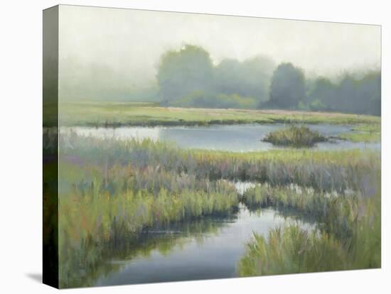 Morning at Edmonds Marsh-David Marty-Premier Image Canvas