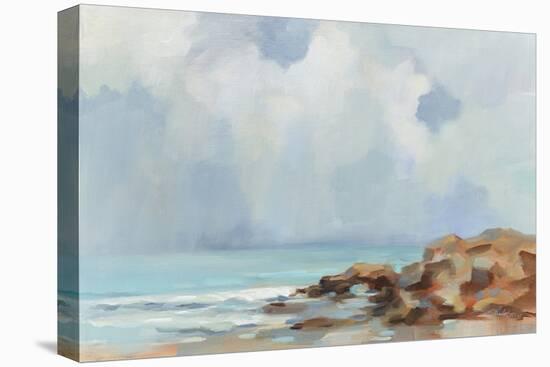 Morning at Stone Beach-Silvia Vassileva-Stretched Canvas