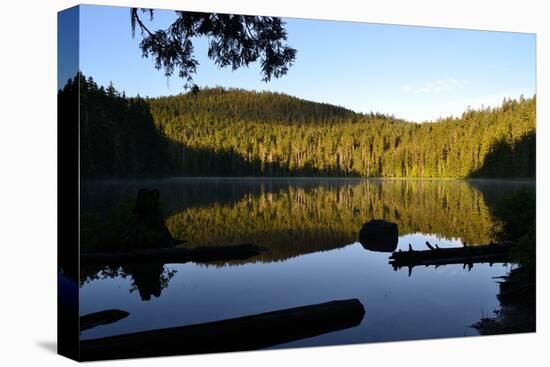 Morning at the Lake IV-Brian Moore-Premier Image Canvas