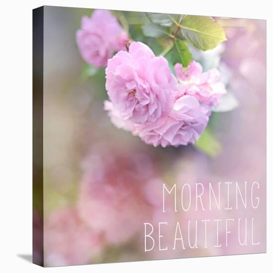 Morning Beautiful-Sarah Gardner-Stretched Canvas