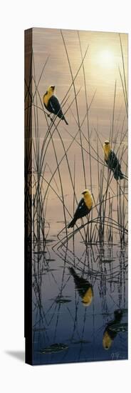 Morning Call - Yellow Headed Blackbirds-Jeff Tift-Premier Image Canvas