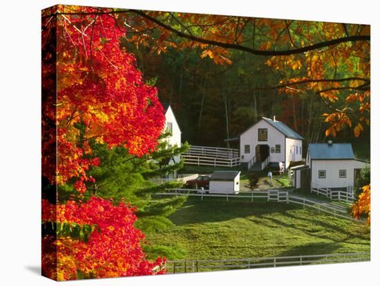 Morning Chores at the Imagination Morgan Horse Farm, Bethel, Vermont, USA-Charles Sleicher-Premier Image Canvas