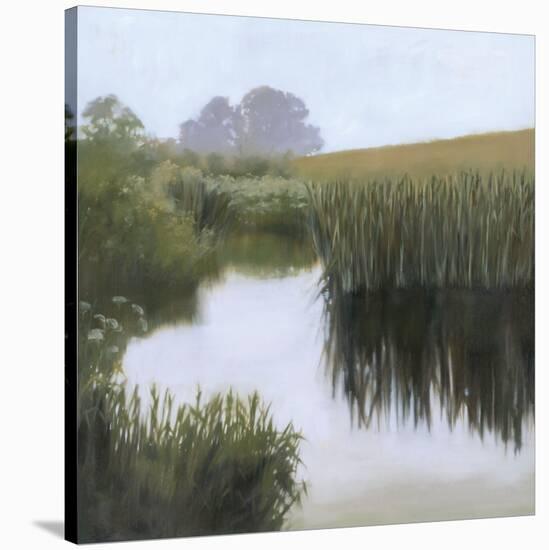 Morning Creekside-Megan Lightell-Stretched Canvas