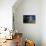 Morning Echo-Gordon Semmens-Premier Image Canvas displayed on a wall