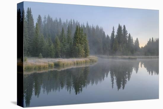 Morning fog at Schwabacher Landing, Grand Teton National Park, Wyoming.-Alan Majchrowicz-Premier Image Canvas