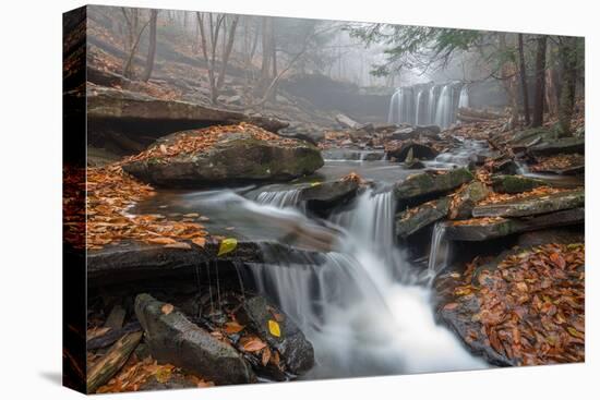 Morning Fog-Nick Kalathas-Premier Image Canvas