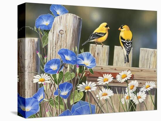 Morning Glories and Finches-William Vanderdasson-Premier Image Canvas