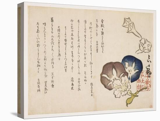 Morning Glories, C.1830-?ishi Matora-Premier Image Canvas