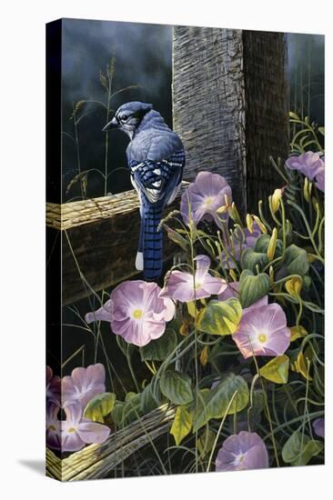 Morning Glories-Michael Budden-Premier Image Canvas