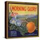 Morning Glory Brand - Pomona, California - Citrus Crate Label-Lantern Press-Stretched Canvas