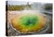 Morning Glory Pool in Upper Geyser Basin, Yellowstone National Park, Wyoming, U.S.A.-Michael DeFreitas-Premier Image Canvas