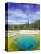 Morning Glory Pool, Old Faithful Geyser, Yellowstone National Park, Wyoming, USA-Pete Cairns-Premier Image Canvas