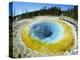 Morning Glory Pool, Yellowstone National Park, Wyoming-Anthony Waltham-Premier Image Canvas