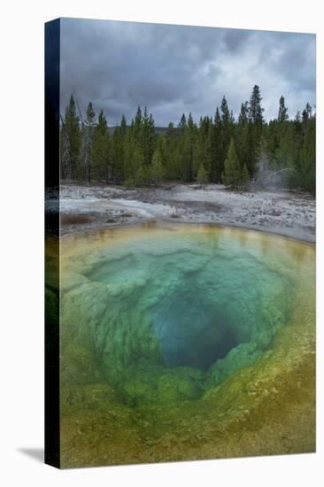 Morning Glory Pool, Yellowstone National Park.-Alan Majchrowicz-Premier Image Canvas