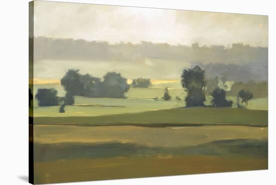 Morning Haze Stretched Canvas Print Megan Lightell Art Com Morning Haze Stretched Canvas Print Megan Lightell Art Com