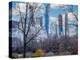 Morning in Central Park-Marco Carmassi-Premier Image Canvas