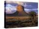 Morning Light, Monument Valley, Utah, USA-Joanne Wells-Premier Image Canvas