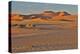 Morning light on the sand dunes of Sossusvlei, Namibia-Darrell Gulin-Premier Image Canvas