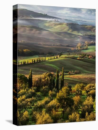 Morning Light over the Fields of Winter Wheat above the Tuscan Landscape-Terry Eggers-Premier Image Canvas