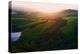 Morning Light & Spring Hills Country View Northern California Petaluma-Vincent James-Premier Image Canvas