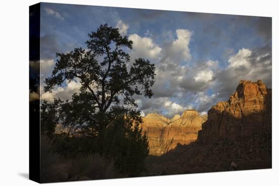 Morning light, Zion National Park-Ken Archer-Premier Image Canvas